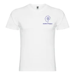 Gift Campaign T-shirt tubolare da uomo con scollo a V in cotone da 155 g/m² Roly></noscript> Magliette Personalizzate