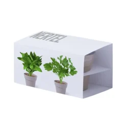 Gift Campaign Vasetti biodegradabili con semi di menta e prezzemolo con substrato><noscript><img width=