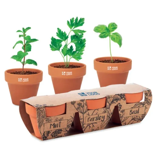Gift Campaign Vasetti con logo in terracotta e semi di menta, prezzemolo e basilico> Vasetti Con Semi