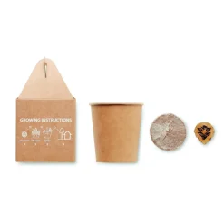 Gift Campaign Vasetti personalizzati con logo con semi di pino da piantare in scatola></noscript> Gadget Ecologici|Vasetti Con Semi