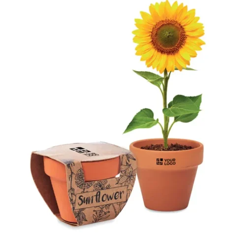 Gift Campaign Vasetti personalizzati di terracotta con terriccio e semi di Girasole> Vasetti Con Semi