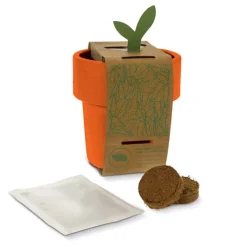 Gift Campaign Vasetto colorato con semi di basilico utilizzabile come tazzina><noscript><img width=