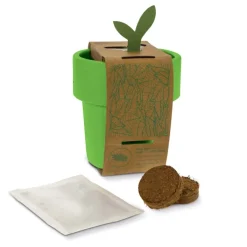 Gift Campaign Vasetto colorato con semi di basilico utilizzabile come tazzina><noscript><img width=