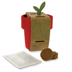 Gift Campaign Vasetto con semi di pomodoro ciliegino utilizzabile come tazzina></noscript> Vasetti Con Semi