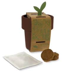 Gift Campaign Vasetto con semi di pomodoro ciliegino utilizzabile come tazzina></noscript> Vasetti Con Semi