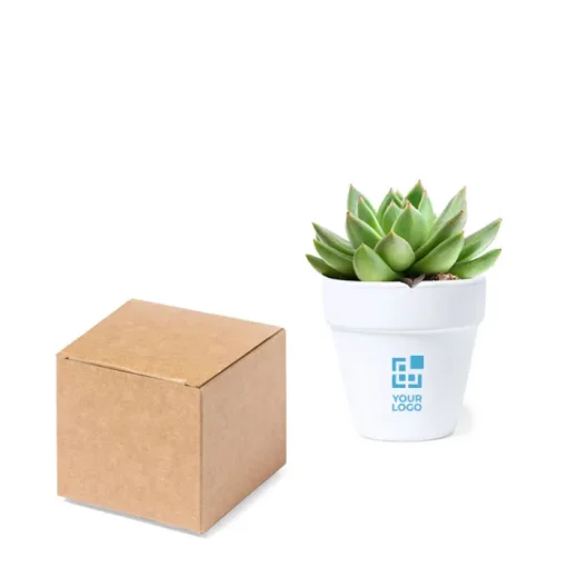 Gift Campaign Vasetto di terracotta con terreno di coltura e semi di Cactus> Vasetti Con Semi