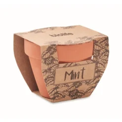Gift Campaign Vasetto di terracotta con semi di menta e terriccio> Vasetti Con Semi