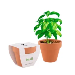 Gift Campaign Vasetto terracotta pubblicitario con terriccio e semi basilico Basil></noscript> Vasetti Con Semi